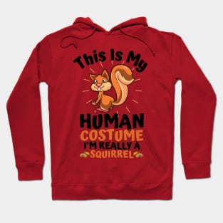 This Is My Human Costume I'm Really A Squirrel, Funny Squirrel Lover Gift Hoodie